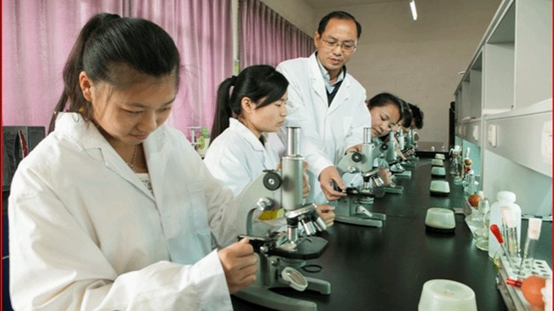 医药公司定制服务流程解析：差异与关键点