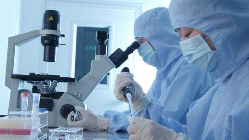 医药OEM代工项目的双刃剑：优势与挑战并存