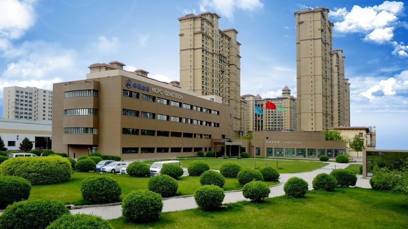 抗生素中间体：揭秘其品牌背后的技术奥秘